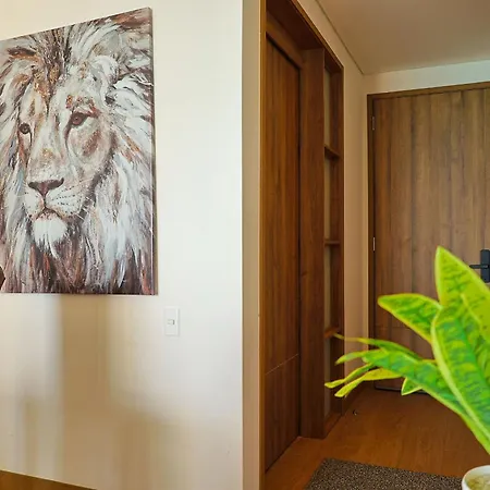 Wow Ocean View, Rooftop Pool, Gym & Desk Apartamento Cartagena